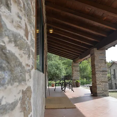 Molino A Maquia De Medin O Pino